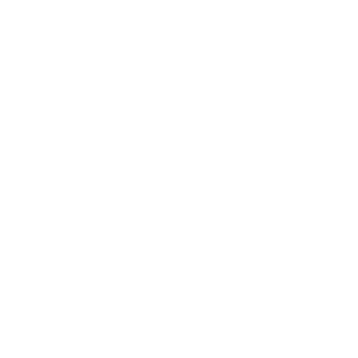 FER Ensemble